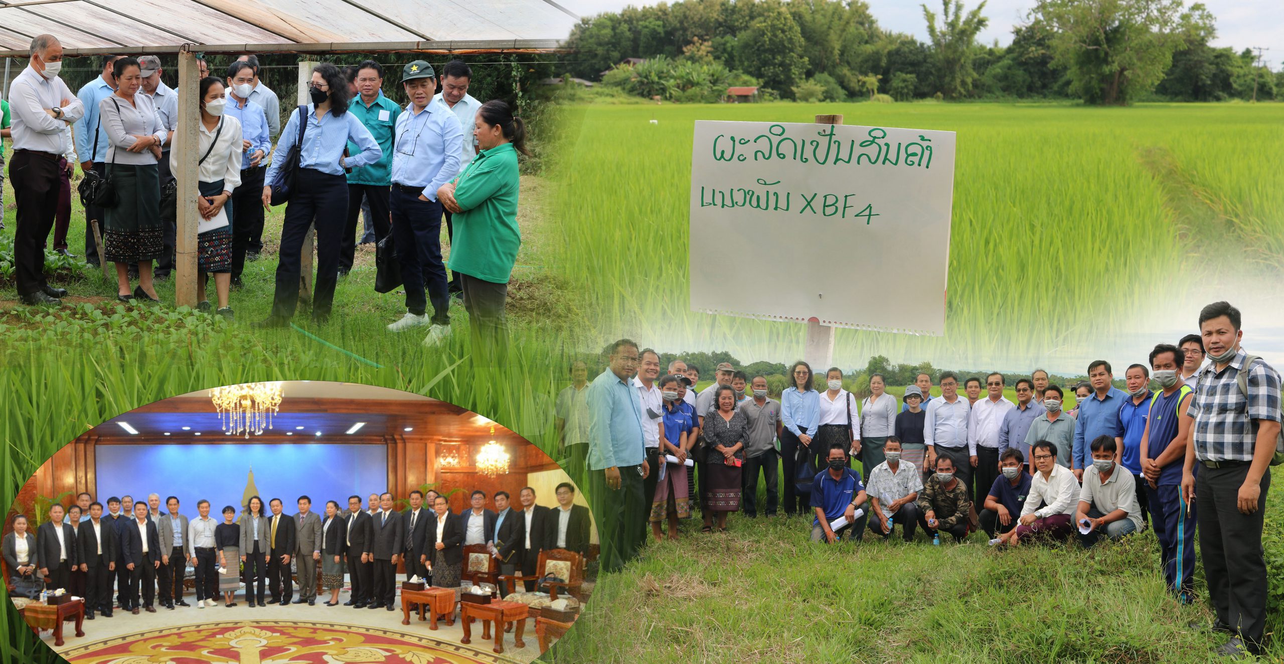 World Bank team visited Lao Agriculture Competitiveness project in Vientiane Capital