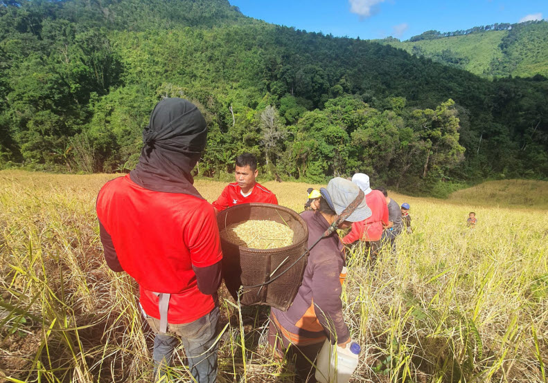 ບົດລາຍງານພິເສດ ຂອງອົງການ FAO/WFP ກ່ຽວກັບ ການປະເມີນຜົນຜະລິດ ຄວາມບໍ່ໝັ້ນຄົງທາງດ້ານສະບຽງອາຫານ