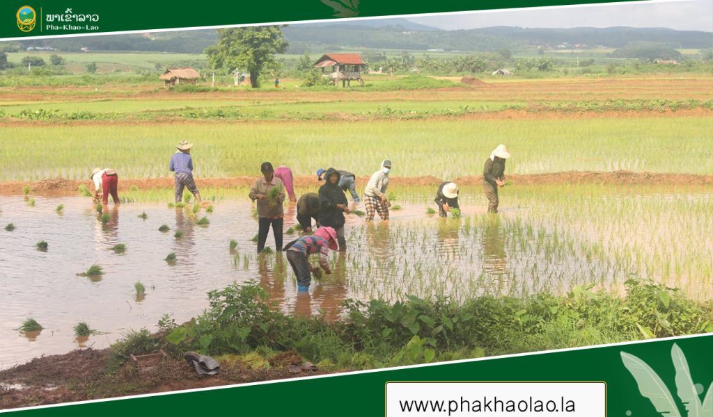 Govt calls for increased production of fertiliser, animal feed