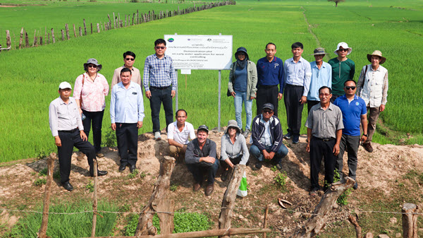 ກອງປະຊຸມປະຈໍາປີ ໂຄງການຄົ້ນຄວ້າເຕັກນິກການຈັດການຫຍ້າໃນນາເຂົ້າ ໃນພື້ນທີ່ເຮັດນາຢອດ ແລະ ນາຫວ່ານ