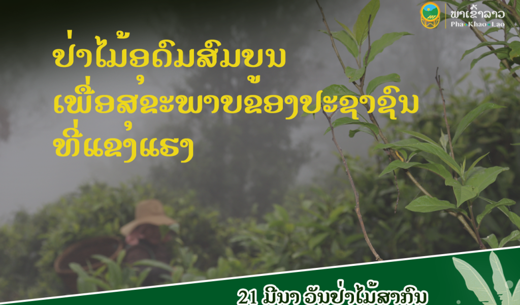 ສະເຫຼີມສະຫຼອງ 21 ມີນາ ວັນປ່າໄມ້ສາກົນ ປະຈຳປີ 2023