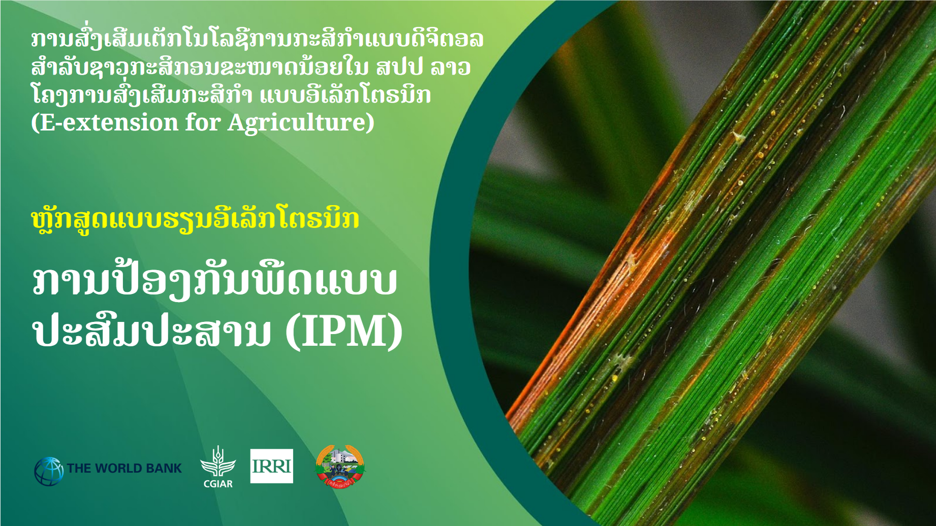 ການປ້ອງກັນພືດແບບ ປະສົມປະສານ (IPM)