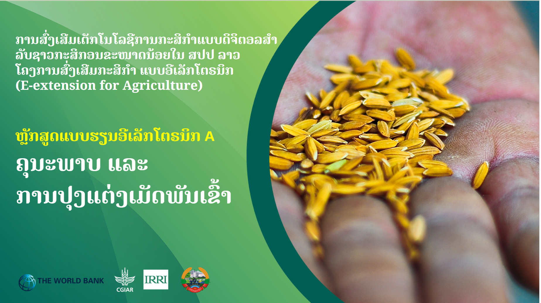 ຄຸນະພາບ ແລະ ການປຸງແຕ່ງເມັດພັນເຂົ້າ