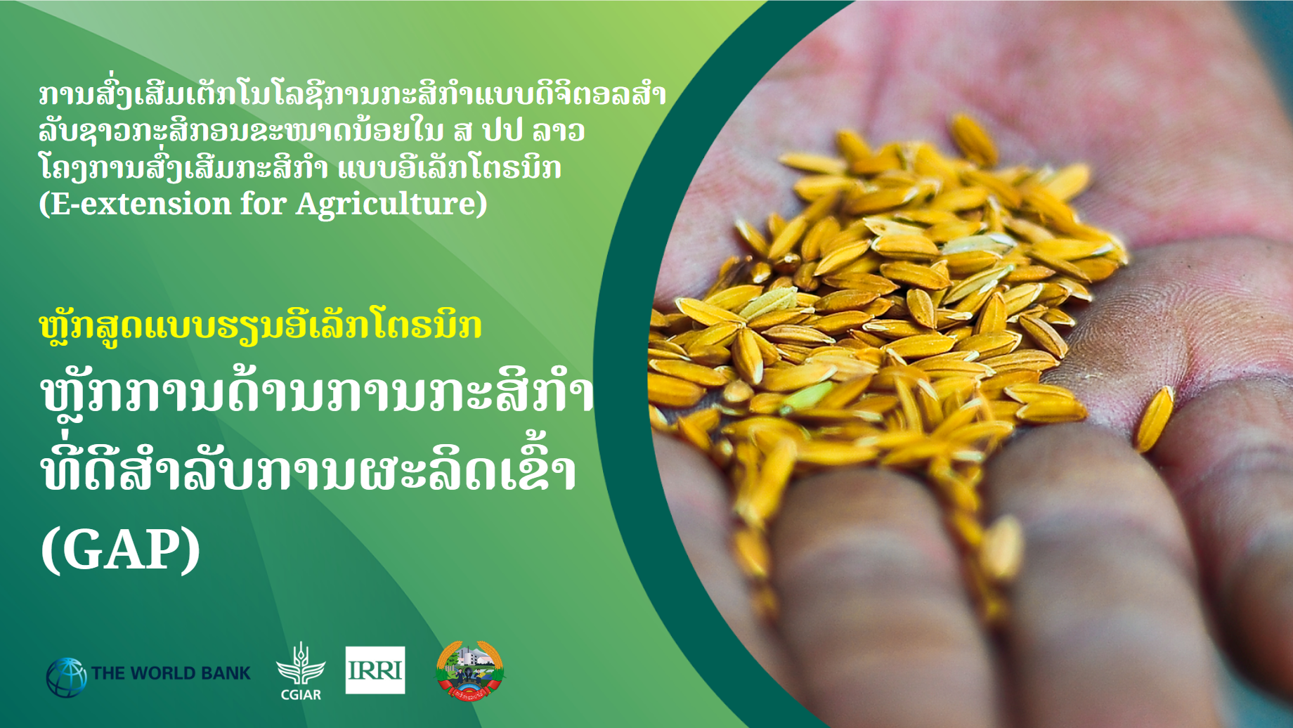 ຫຼັກການດ້ານການກະສິກຳທີ່ດີສຳລັບການຜະລິດເຂົ້າ (GAP)